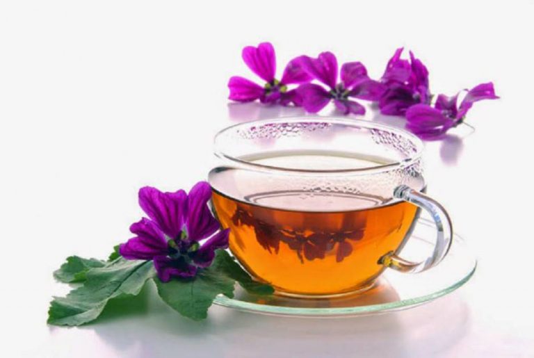 tisana malva