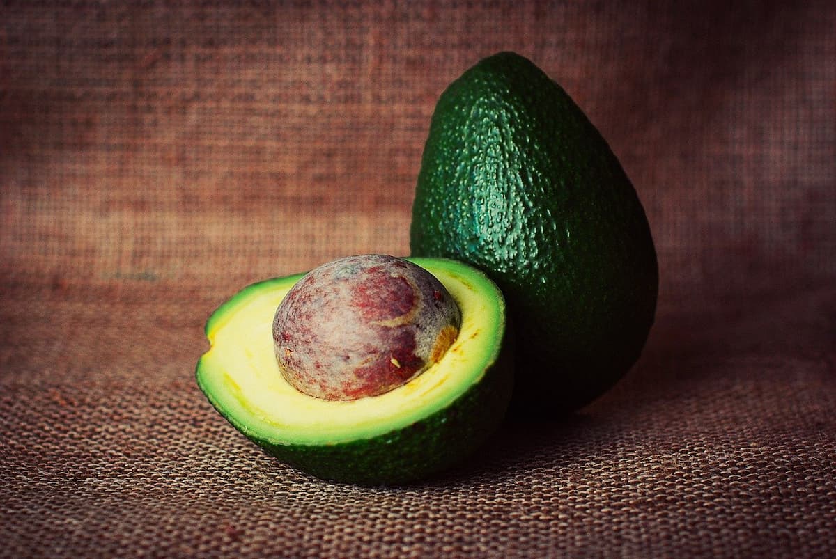 avocado capelli