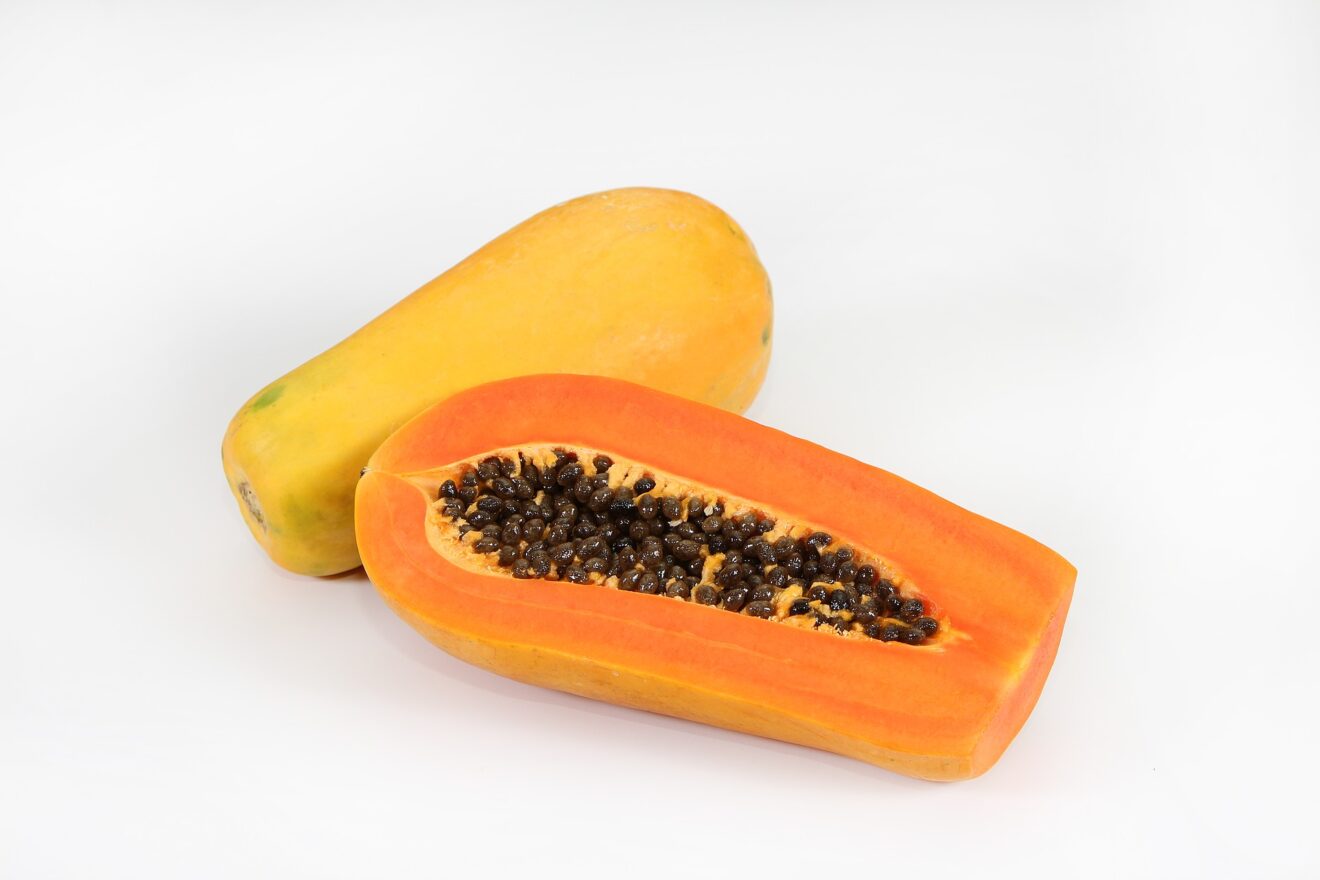 papaya fermentata