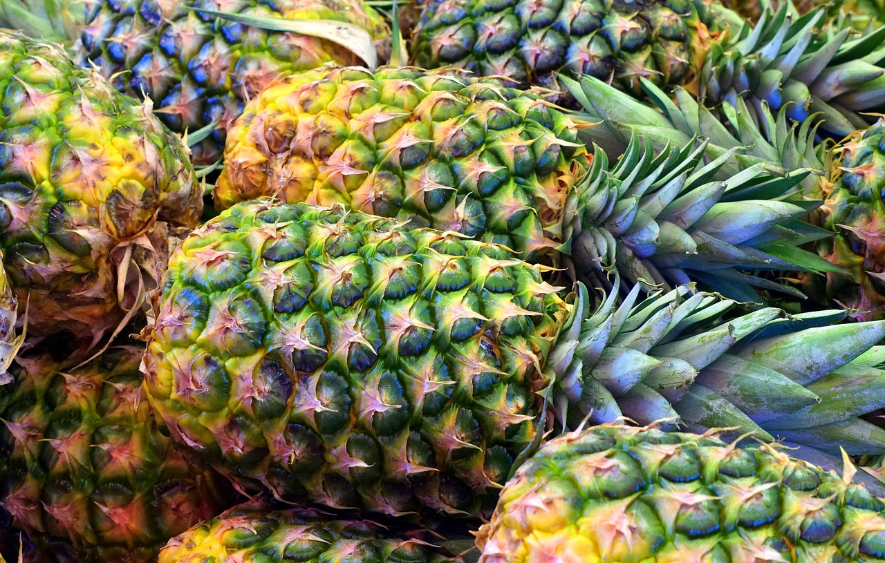 gambo ananas