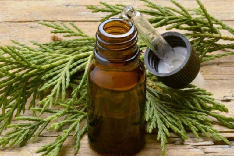olio di cipresso capelli