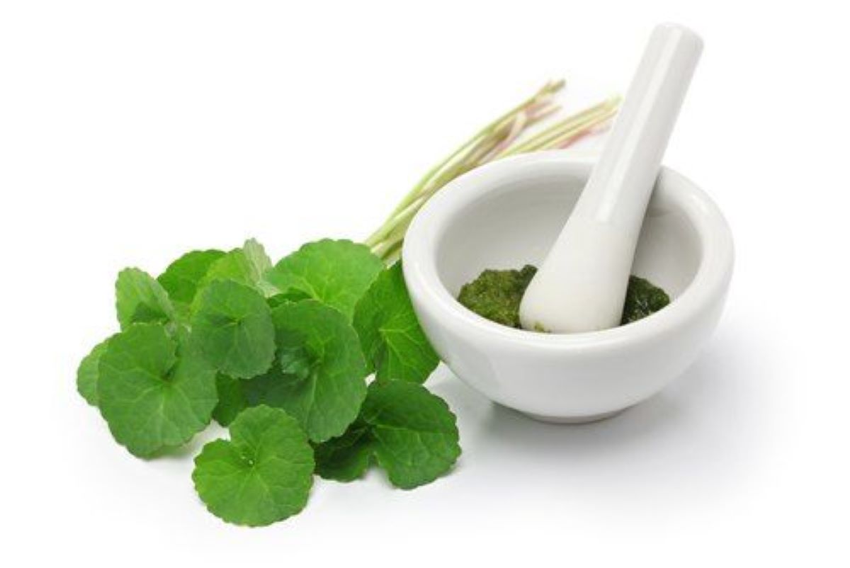 Integratori: centella asiatica e i suoi benefici