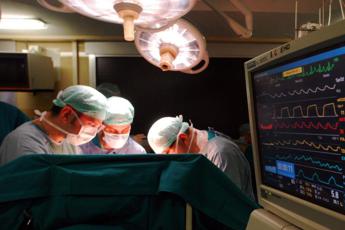 reni di maiale impiantati in uomo mix farmaci noti puo evitare rigetto 2