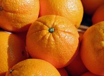 indice glicemico
