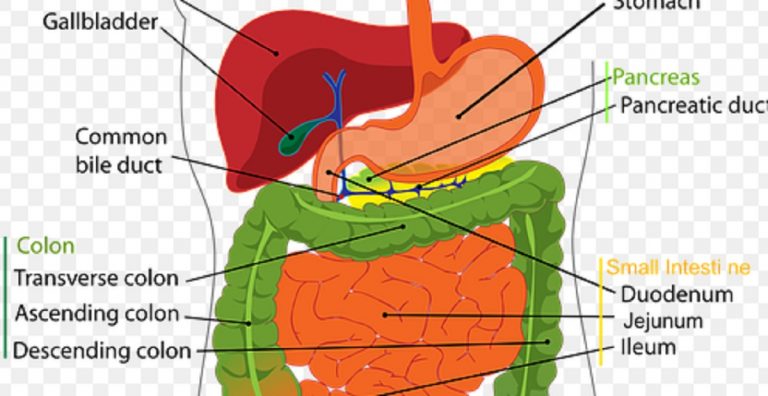 tumore neuroendocrino del pancreas