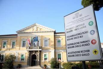 sorveglianza e prevenzione della dengue dallo spallanzani aggiornamento linee guida 2