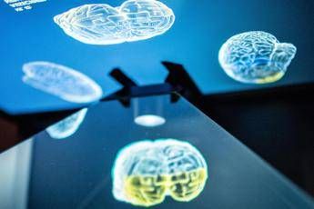 tagliare le calorie puo rallentare linvecchiamento del cervello ecco cosa dice lo studio 2