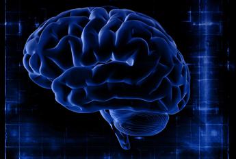 neuralink chip nel cervello follia o futuro il parere dellesperto 2