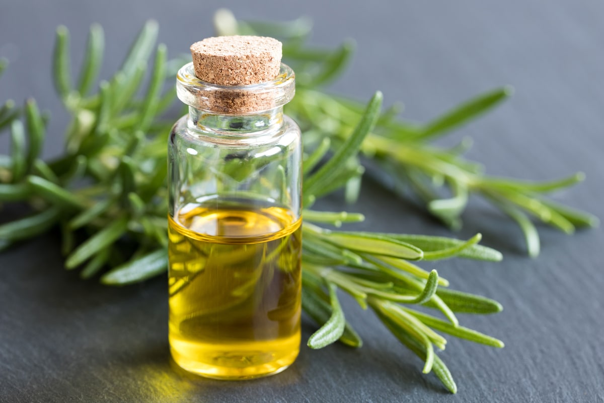 olio rosmarino per i capelli