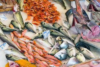 da msc ieo 9 ricette di pesce amiche della salute e dellambiente 2