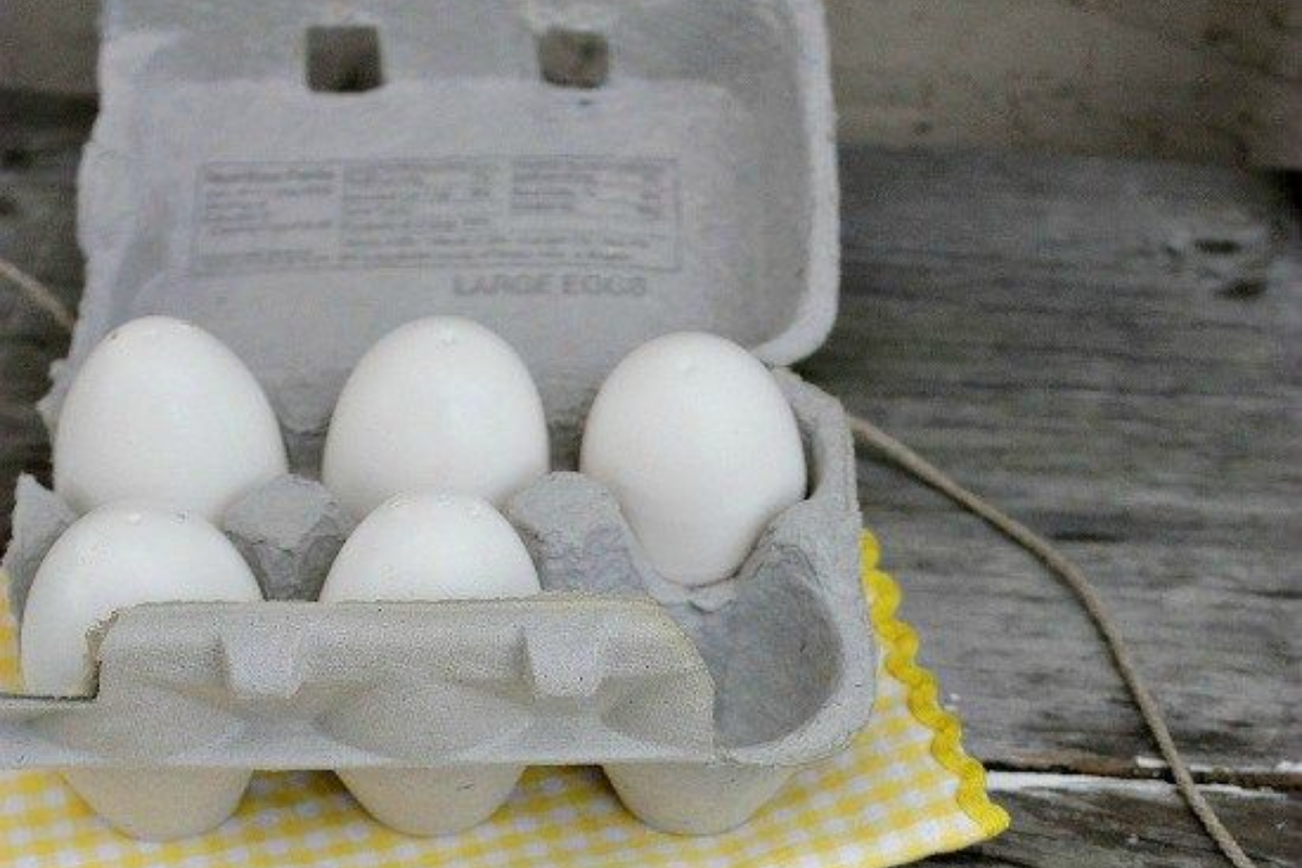 Come riciclare il contenitore di plastica delle uova
