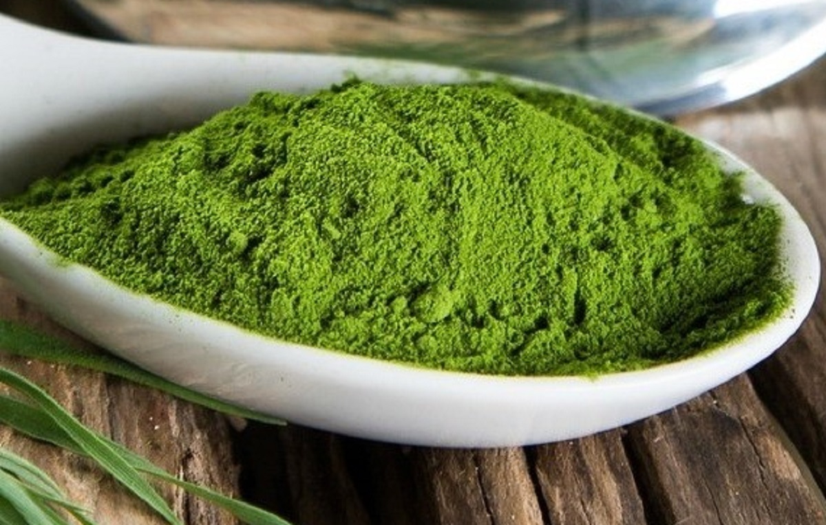 alga spirulina