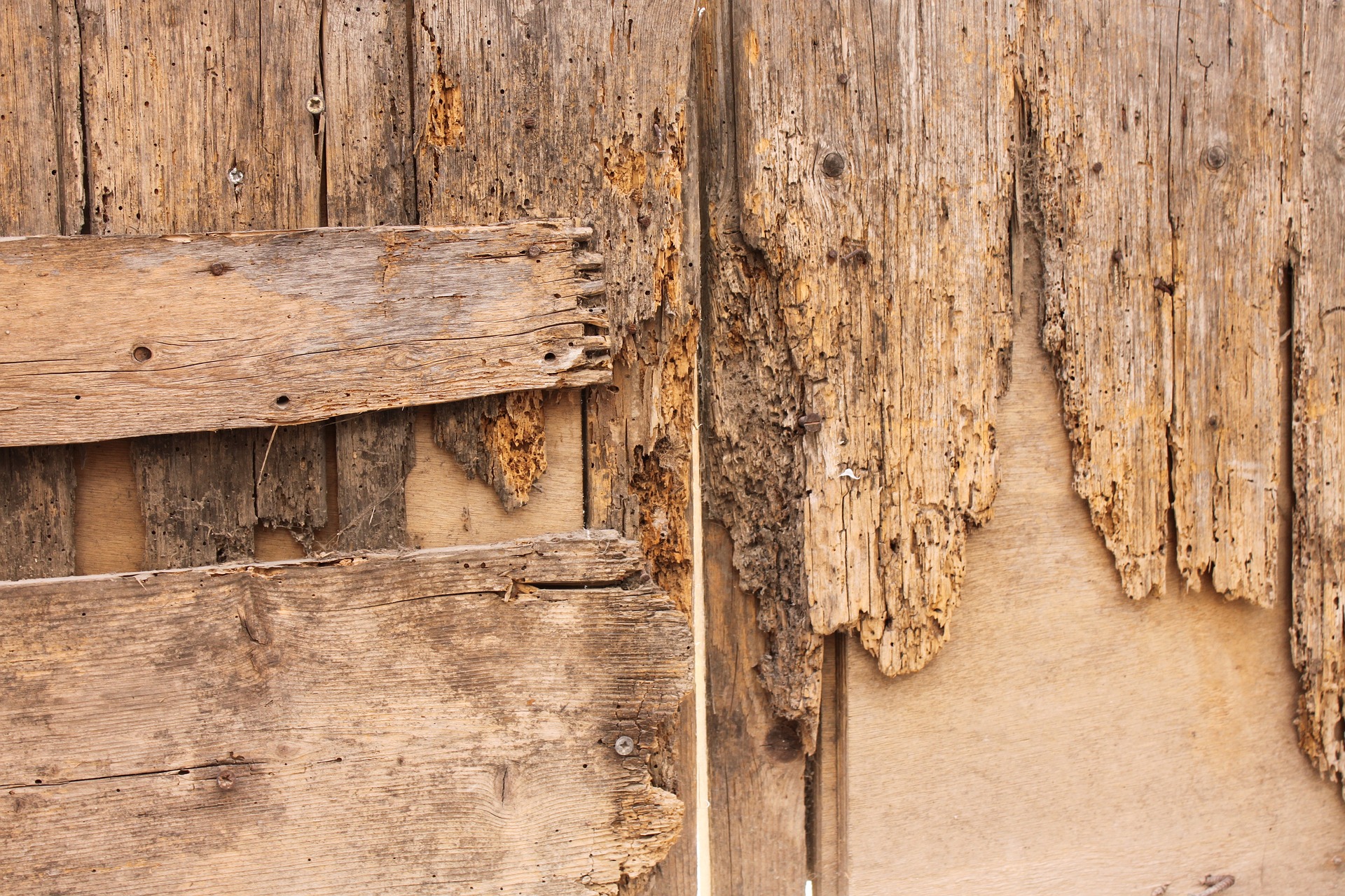 Tarli del legno: come eliminarli naturalmente