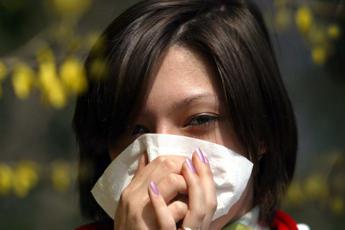 8 marzo mimosa no grazie la soffre fino al 30 degli allergici ai pollini 2