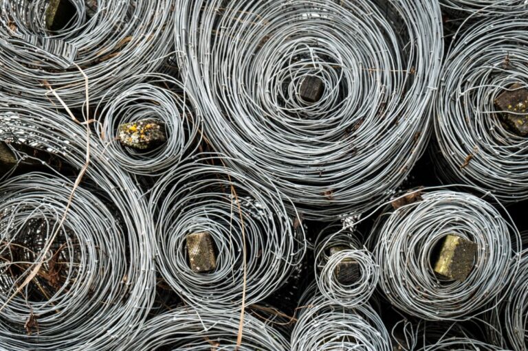 Quali sono gli alimenti sconsigliati?