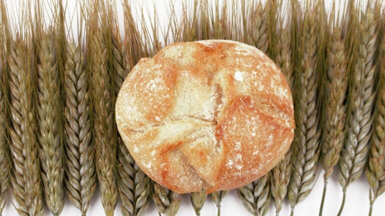 Perdere peso con questo superfood