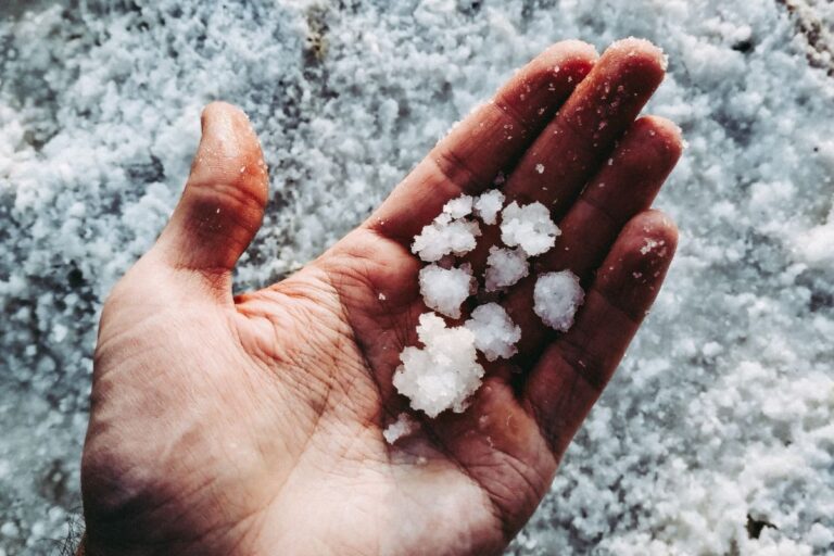 L'alternativa salutare