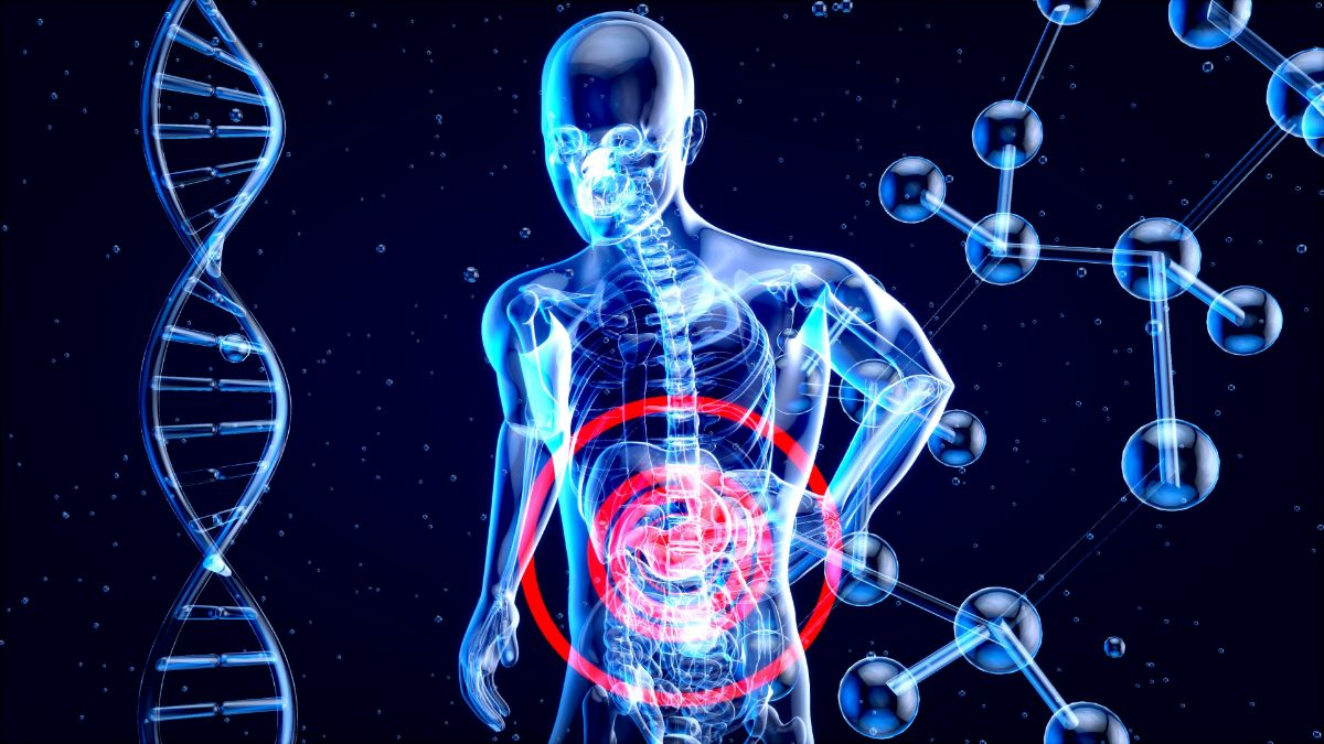 Cosa mangiare per l'equilibrio dell'intestino?