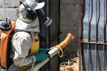 dengue lallarme si allarga dopo il brasile colpita anche argentina 2