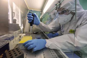 covid virologi e infettivologi contro la cina scandalosi e bugiardi se hanno ritardato mappa virus 2