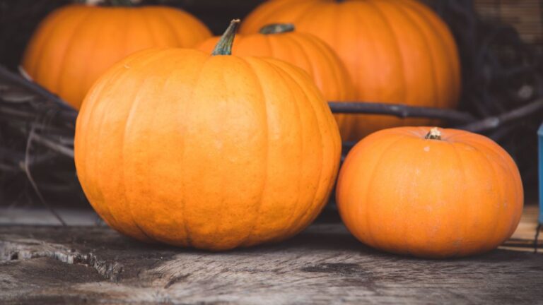 5 motivi per cui dovresti mangiarla