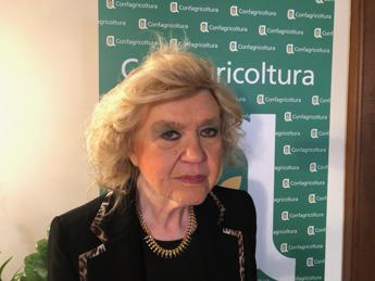 alimenti nutrizionista hrelia carne rossa fonte preziosa di vitamina b12 2