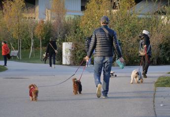 cani grandi e piccoli ecco chi vive di piu e che malattie rischia 2