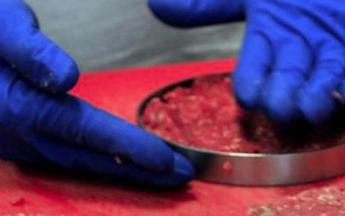 coldiretti ce maggioranza qualificata in ue su stop carne coltivata 2
