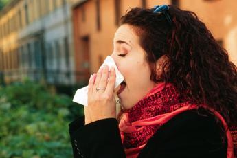 influenza 2024 quando arriva il picco 2