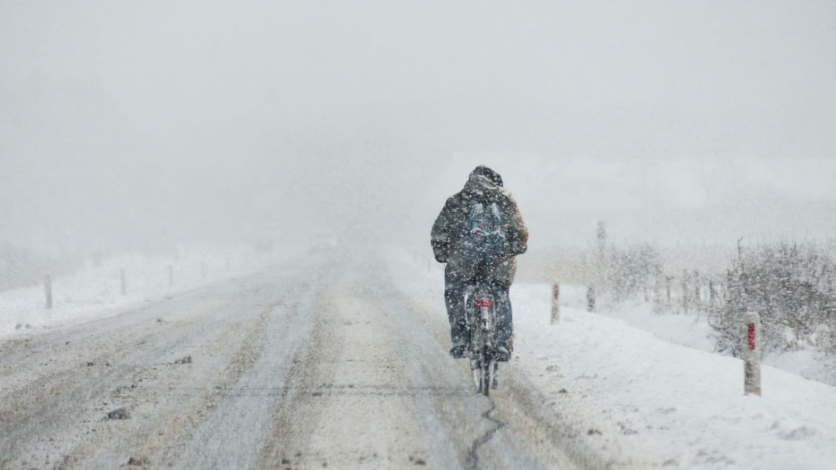 Cosa mangia il ciclista?