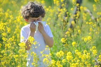allarme allergologi pediatri con boom di pollini e muffe 30 malattie 2