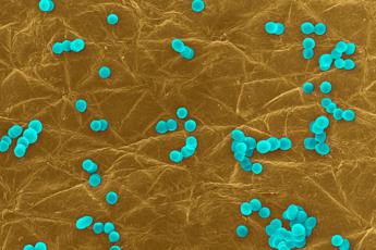 infezioni da superbatteri costano circa 1 miliardo allanno roadmap con 10 priorita 2