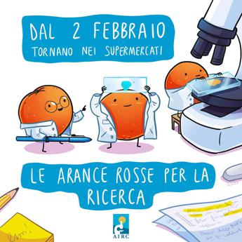 world cancer day in 10mila supermercati le arance airc per la ricerca 2