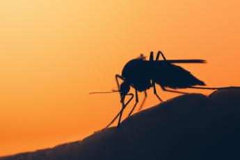 dengue stretta sui controlli in porti e aeroporti in arrivo nuova circolare 2