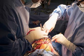 primo caso al mondo di trapianto di rene da maiale a uomo il paziente sta bene e migliora 2