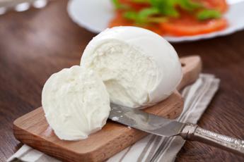 richiamo per lotto di mozzarella date di scadenza errate 2