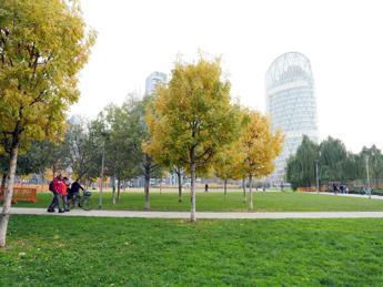 smog fa male anche alle ossa con piu verde meno osteoporosi 2