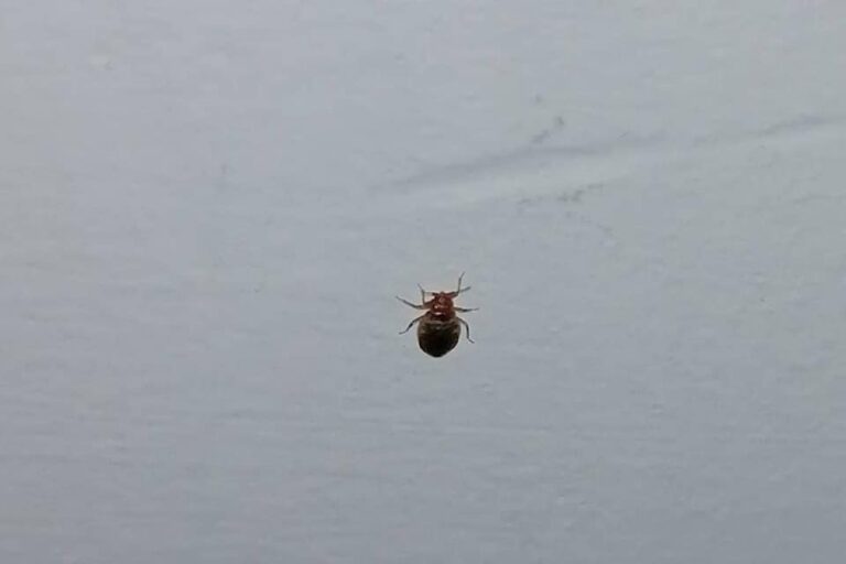 image 8563fdfe 6e50 4315 819d a9287326f2d4