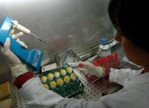aviaria morto negli usa il primo caso umano di h5n5 2