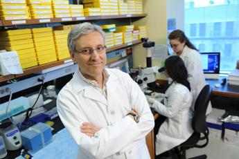 scienziato italiano negli usa aiuti fiscali per far tornare i medici serve molto di piu 2