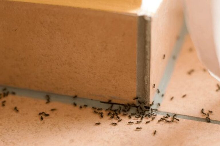 image 34d7dac3 873f 4801 89ee b470110c2a4b