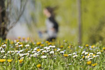 allergie dai vestiti colorati ai solari anche la pelle soffre la bella stagione 2