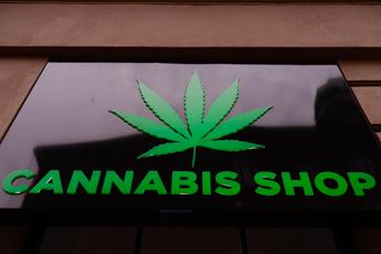 eurispes 6 italiani consuma spesso alimenti che contengono cannabis 2