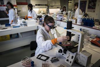 hit mondiale degli scienziati in medicina chi sono gli italiani al top 2
