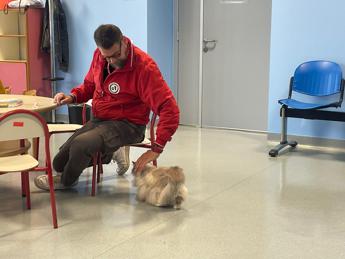 pet therapy colombo fridas friends onlus progetto nato per aiutare persone con disabilita 2
