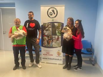 piperno royal canin italia cani e gatti migliorano il mondo per i meno fortunati 2