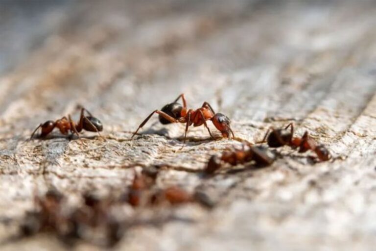 image b0ddb65d 6d36 4c0f b6cb fa50b4877822