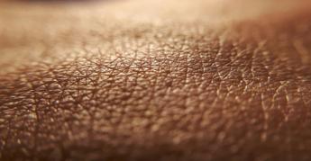 sidemast presto al via i corsi di formazione in dermatologia etnica 2