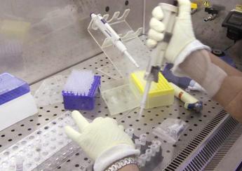 tumori virus lassa potrebbe favorirli nei bimbi in africa la ricerca 2