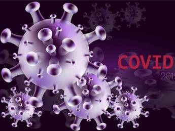 covid in italia primo caso di variante nimbus 2